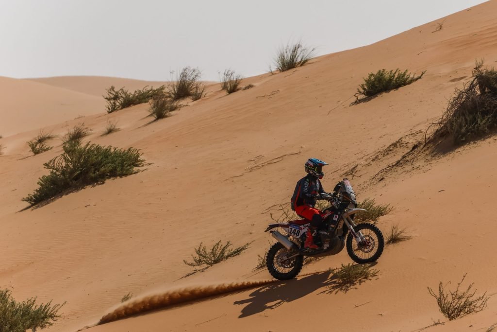 Tomas de Gavardo 100