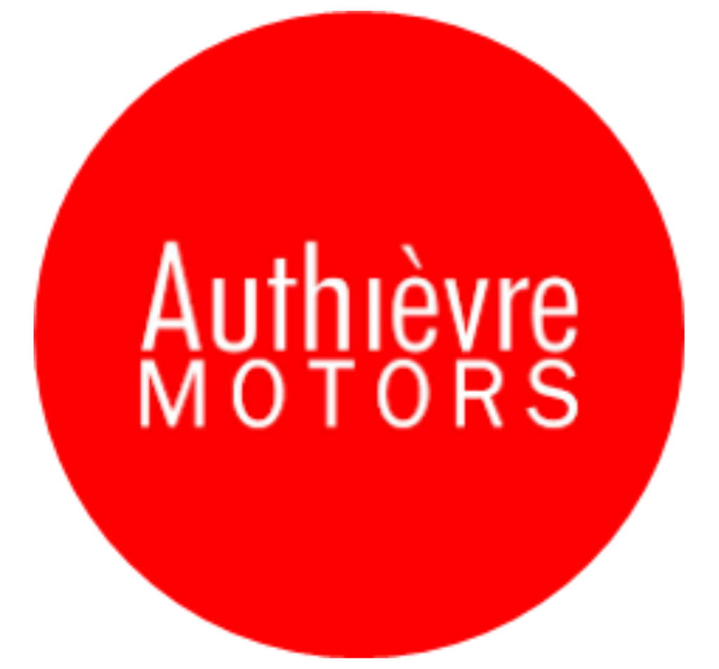 ¡Dakar Future Mission 1000 El año de las motos!. 12 LOGO AM