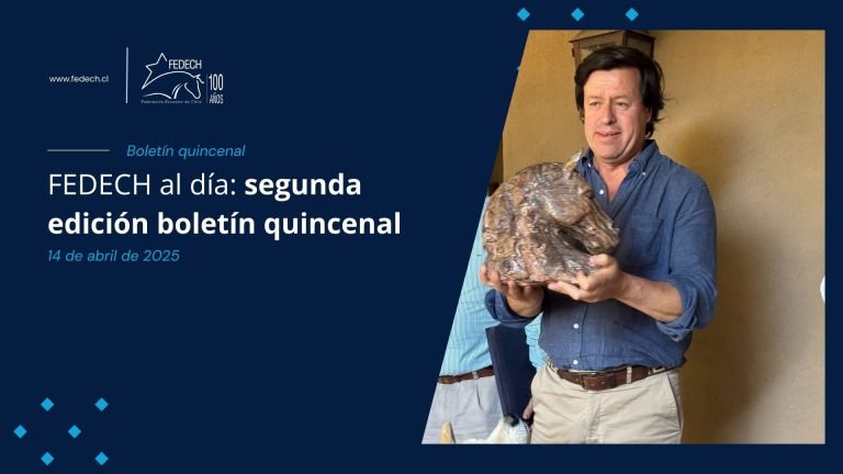 FEDECH al día – Segunda edición boletín quincenal