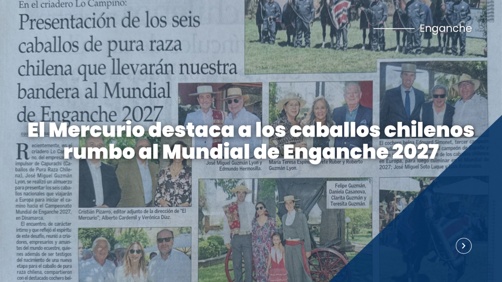 El Mercurio destaca a los caballos chilenos rumbo al Mundial de Enganche 2027
