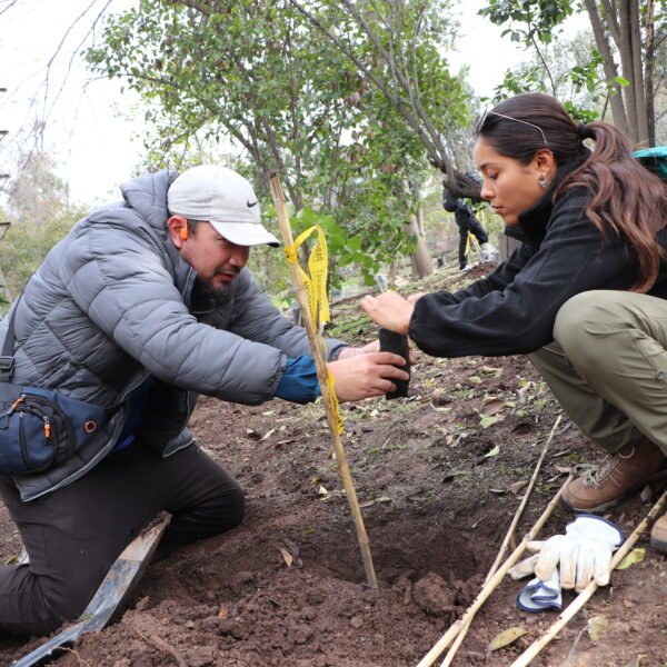Corredores del Maratón de Santiago hicieron posible la plantación de 150 especies nativas en PARQUEMET.
