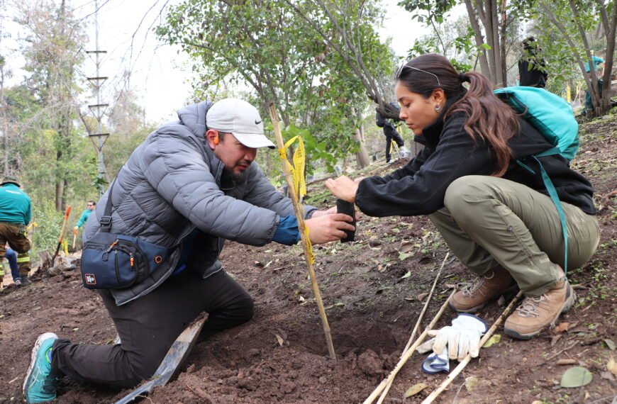 Corredores del Maratón de Santiago hicieron posible la plantación de 150 especies nativas en PARQUEMET.