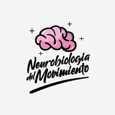Neurobiología del Movimiento: El Impacto del Deporte en la Salud Mental y la Reducción del Estrés